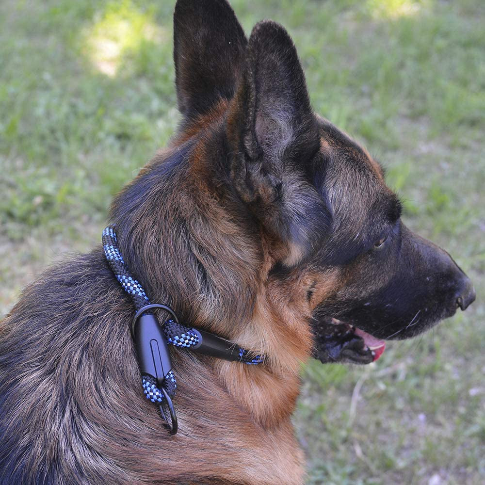 Rope Pro Training Dog Collar Braided No Pull Quick Release round Lead Collars for Dogs Small Medium Large Puppy (XS - 15.7" Long, Blue)